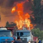 Los incendios forestales en la Patagonia arrasaron casi 49.000 hectáreas y cruzaron la frontera con Chile