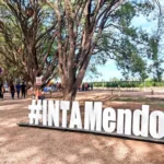 La motosierra de Milei: hay preocupación en un organismo clave para el campo mendocino