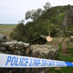 Cuatro años de prisión para dos hombres por talar el “árbol de Robin Hood”, el más famoso de Inglaterra