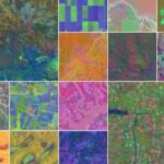 Google DeepMind lanza AlphaEarth, un modelo de IA para cartografiar y monitorear la Tierra con mayor precisión