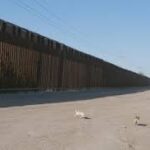 Casi 75.000 mexicanos se repatriaron desde EE.UU. en el gobierno de Trump