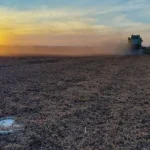 Afirman que las exportaciones agrícolas marcaron “un récord histórico” en los primeros 8 meses del año