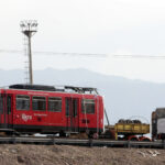 Llegaron las nuevas duplas del Metrotranvía a Mendoza