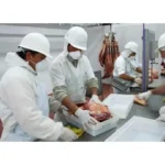 Escasa oferta y demanda sostenida: el combo que recalienta el precio de la carne hacia fin de año