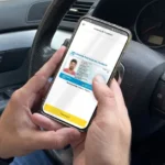 Mendoza modificó la Ley de Tránsito y habilita toda la documentación vehicular en formato digital