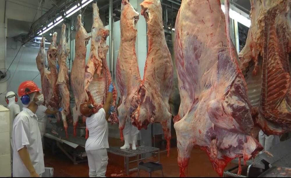 La UE prohibirá las importaciones de carne brasileña a partir de septiembre