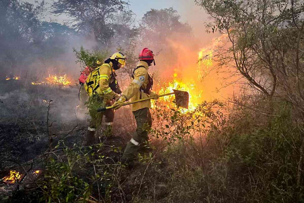 La superficie quemada en España aumenta 6.387 hectáreas en una semana