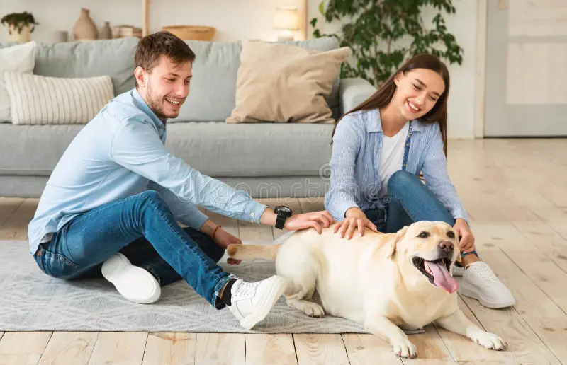 Furor por las mascotas: la “industria pet” ya mueve unos USD 3.200 millones en Argentina