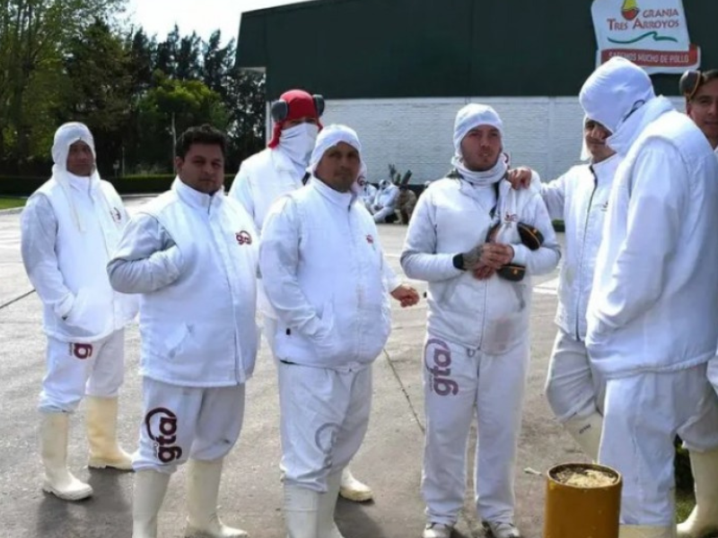Se agrava la crisis de Granja Tres Arroyos: ofreció pagar parte de los salarios con pollos